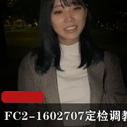 FC2-1602707定检指教