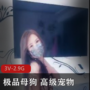 高级宠物+极品母犬+狗链教育