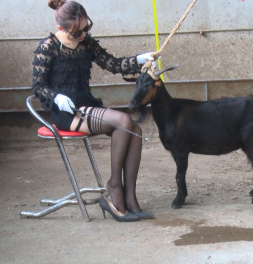 黑丝高跟鞋美女