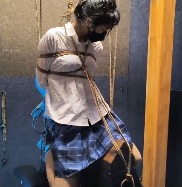 雨辰工作室指教视频合集：小众资源中的艺术之作，26G内容不容错过