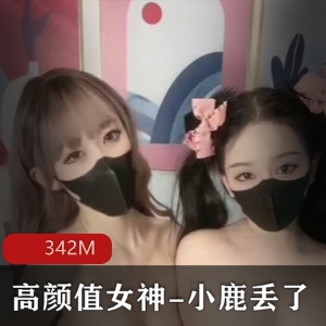 **推特小鹿丢了欲梦联动私拍合集89部351M超顶**