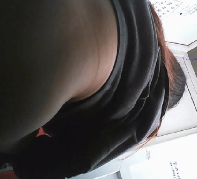 厕所拍摄精品李姐熟女感觉实拍20V17G太感觉了